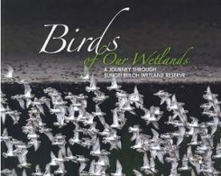 Birds of Our Wetland: A Journey through Sungei Buloh Wetland Reserve