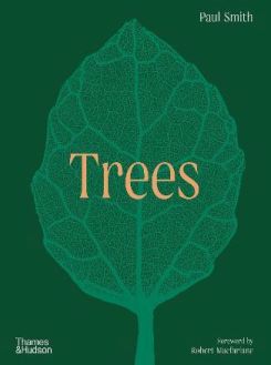 Trees : From Root To Leaf