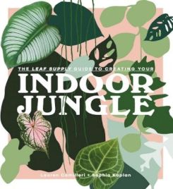 The Leaf Supply Guide to Creating Your Indoor Jungle