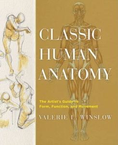 CLASSIC HUMAN ANATOMY: THE ARTISTS GUIDE TO FORM,FUNCTION, AND MOVEMENT