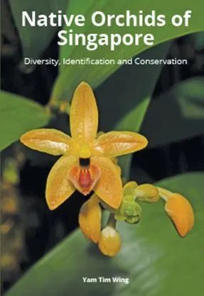 Native Orchids Of Singapore: Diversity, Identification And Conservation (2nd Edition)