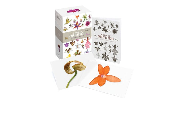 A Box Of Orchids: 100 Beautiful Postcards
