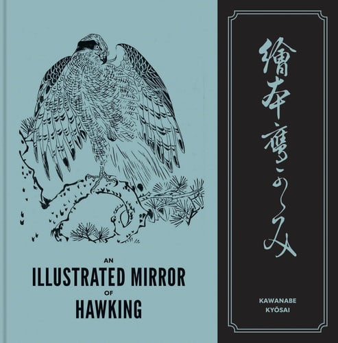 An Illustrated Mirror Of Hawking