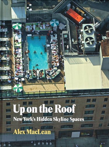 Up On The Roof: New Yorks Hidden Skyline Spaces