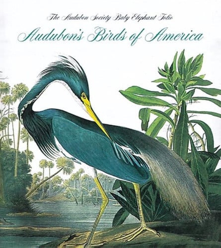 Audubon's Birds Of America