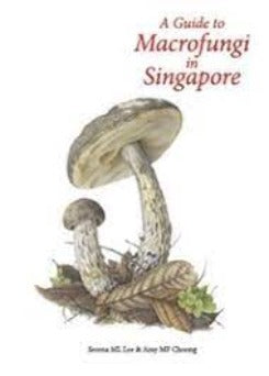 A Guide To Macrofungi In Singapore