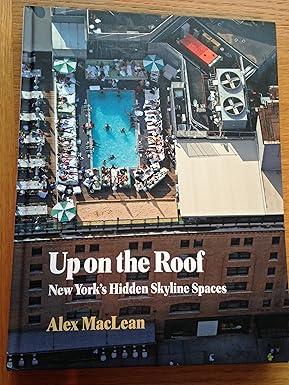 Up On The Roof: New Yorks Hidden Skyline Spaces