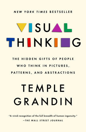 Visual Thinking: The Hidden Gifts Of People Who Think In Pictures, Patterns, And Abstractions