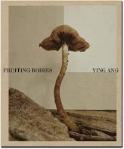 Ying Ang Fruiting Bodies