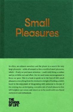 SMALL PLEASURES (THE SCHOOL OF LIFE LIBRARY)