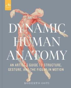 Dynamic Human Anatomy : An Artist's Guide to Structure, Gesture, and the Figure in Motion