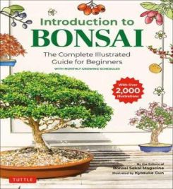 Introduction to Bonsai : The Complete Illustrated Guide for Beginners