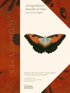 Iconotypes : A Compendium Of Butterflies And Moths. Jones's Icones Complete