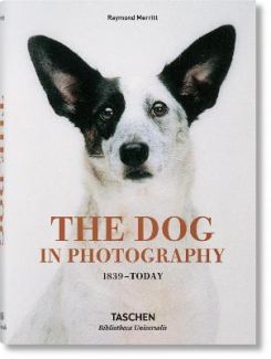 The Dog In Photography 1839-today
