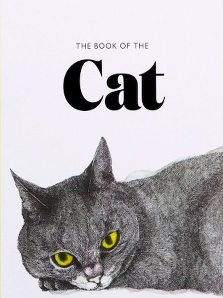 The Book of the Cat: Cats in Art