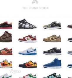 Nike Sb: The Dunk Book