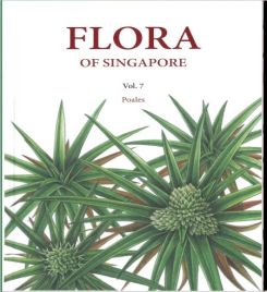Flora of Singapore Vol. 7  Poales