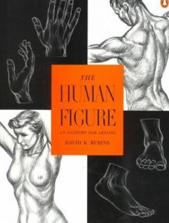 The Human Figure: An Anatomy For Artists
