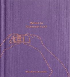 What Is Culture For?