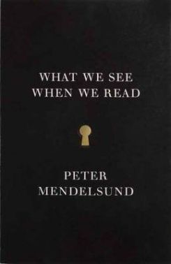 What We See When We Read