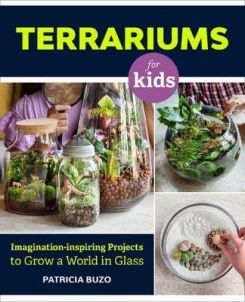 A Family Guide to Terrariums for Kids