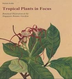 Tropical Plants In Focus -botanical Illustration At The Singapore Botanic Gardens