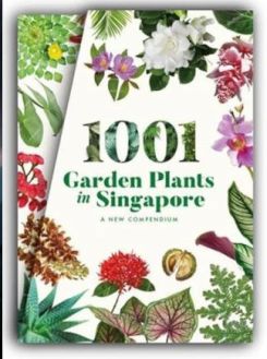 1001 Garden Plants In Singapore A New Compendium