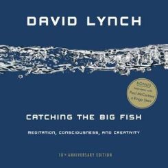 Catching the Big Fish : Meditation, Consciousness, and Creativity: 10th Anniversary Edition