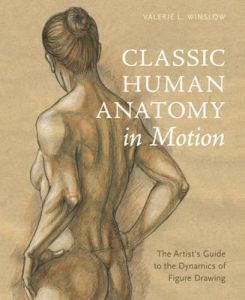 Classic Human Anatomy in Motion : The Artist's Guide to the Dynamics of Figure Drawing