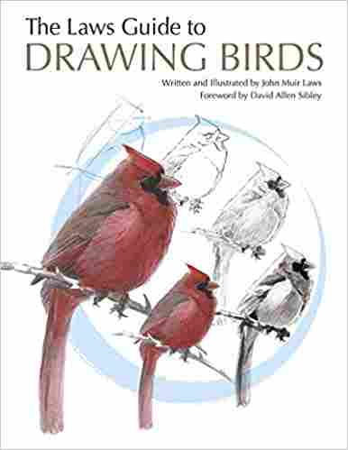 The Laws Guide to Drawing Birds Paperback