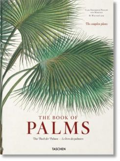 Martius: The Book Of Palms