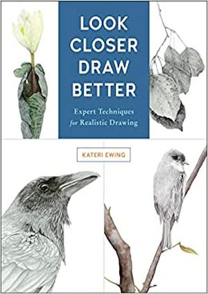 Look Closer, Draw Better : Expert Techniques for Realistic Drawing