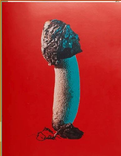 Mushrooms And Friends Zine #03