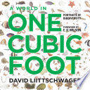 A World In One Cubic Foot